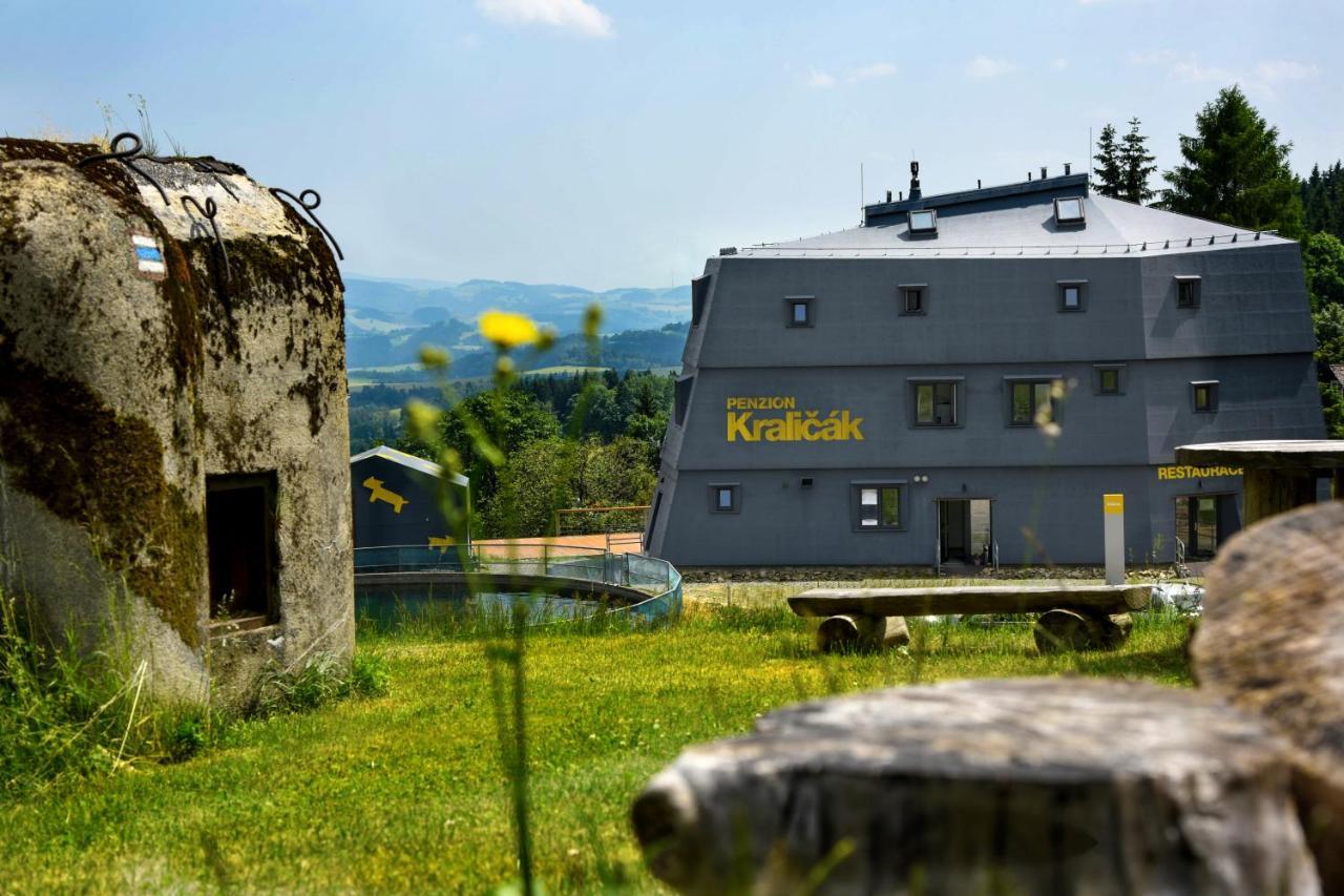 Penzion Kralicak Staré Město Extérieur photo